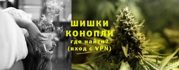 гашик Арсеньев