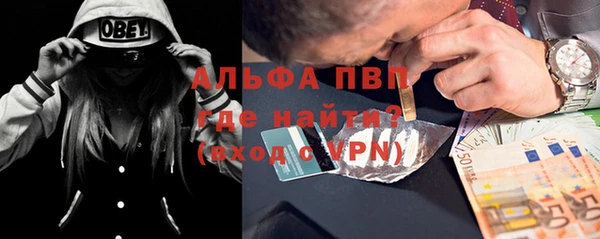 прущие грибы Армянск