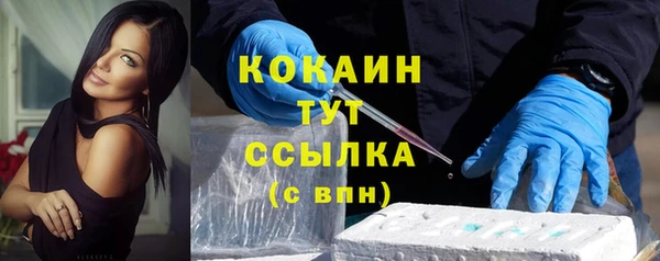 гашик Арсеньев
