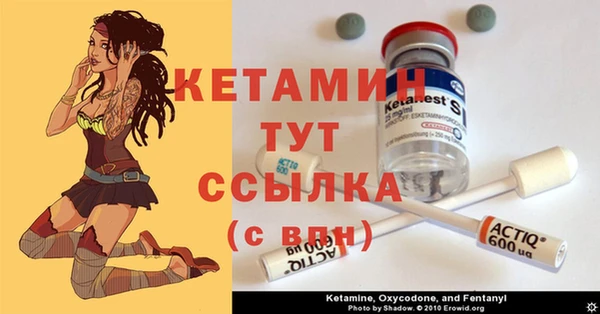 прущие грибы Армянск