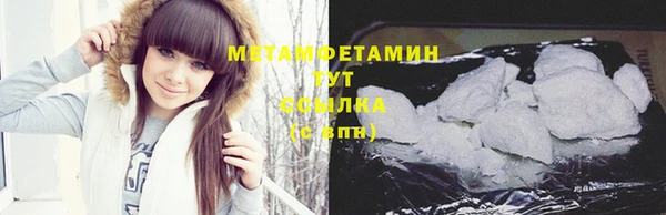 прущие грибы Армянск