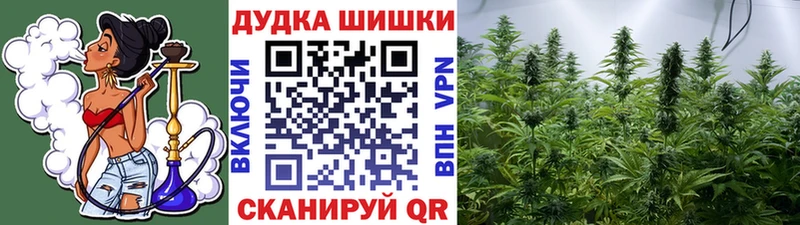 Бошки марихуана Amnesia дарк нет как зайти Саянск